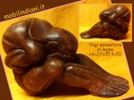 yogi.pensatore-india